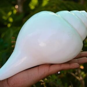 Blowing Sankh for Puja