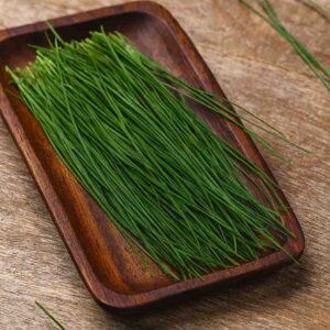 Fresh Darbha/Durva Grass for Puja | Sacred Doob for puja (1 small bundle)