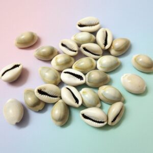 Kaudi for Puja | Sacred Cowrie Shells for Lakshmi Blessings (5 pieces)